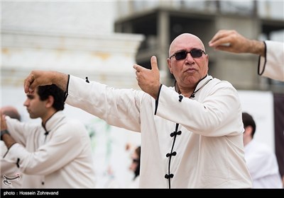 World Tai Chi, Qigong Day Observed in Tehran