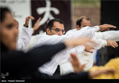 World Tai Chi, Qigong Day Observed in Tehran