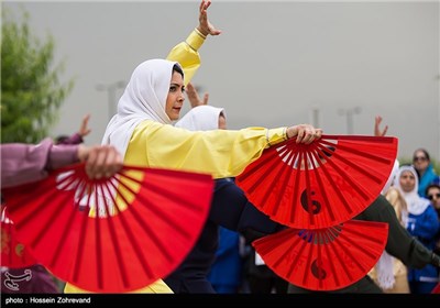 World Tai Chi, Qigong Day Observed in Tehran