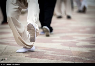 World Tai Chi, Qigong Day Observed in Tehran