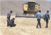 بیش از 15 هزار متخصص کشاورزی استان فارس جویای کارند