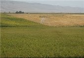 تجمیع اراضی راهکار حل مشکل نظام خرده مالکی در کشاورزی استان فارس است‌