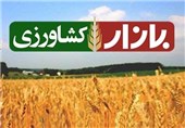 افتتاح نخستین "روستا بازار" ایلام در درهشهر