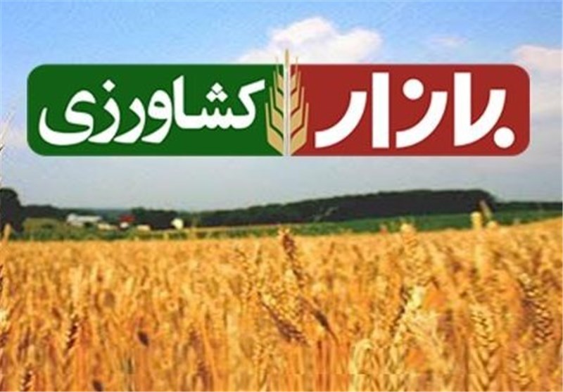 تسهیلات بانکی برای تغییر سیستم آبیاری در قزوین پرداخت می‌شود