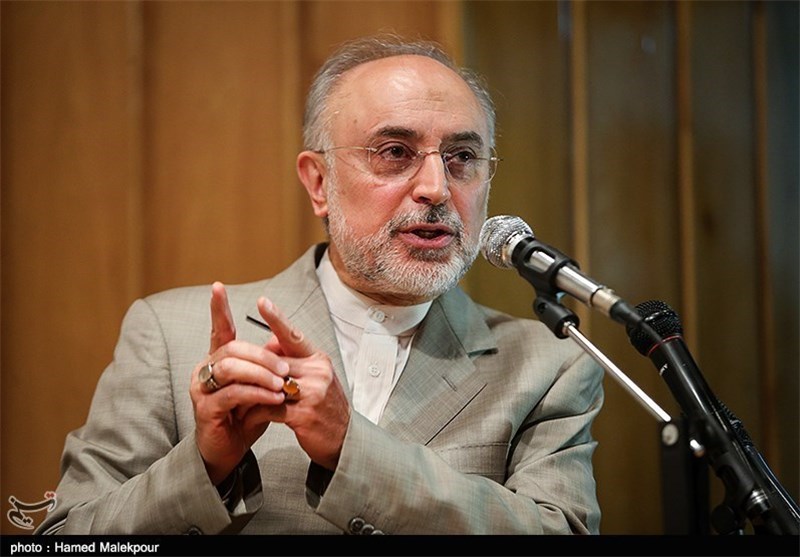 Iran Nuclear Talks Progressing Well: AEOI Chief