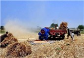 44 مرکز خرید گندم در اردبیل آماده خدمات‌رسانی به کشاورزان است