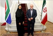 Iran, South Africa Discuss Closer Cooperation in Oil, Gas Sectors
