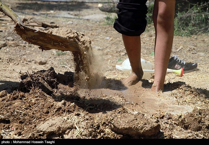 گلستان| تعطیلی مدارس طبیعت در کشور؛ وضعیت زباله در استان‌های شمالی فاجعه‌بار است
