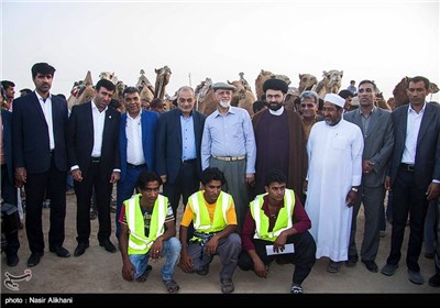 Camel-Riding Competitions Held on Island of Qeshm