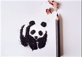 تصاویر نقاشی فقط با تراشیدن مداد