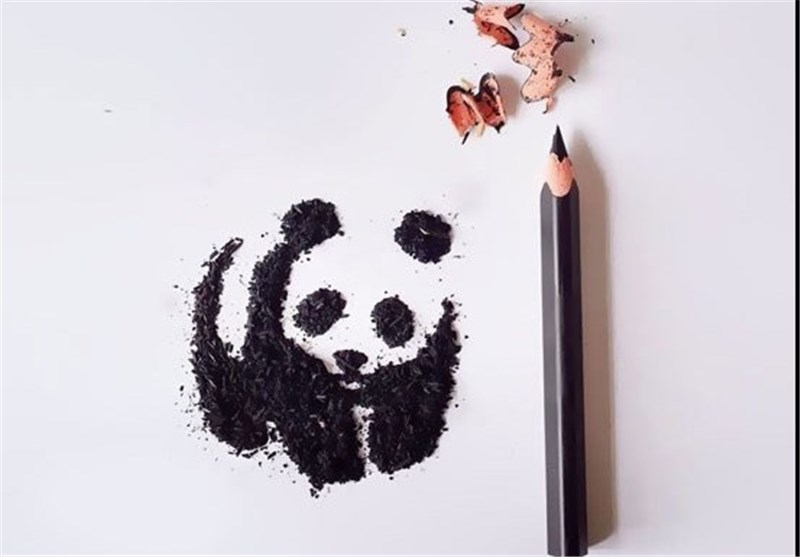 تصاویر نقاشی فقط با تراشیدن مداد