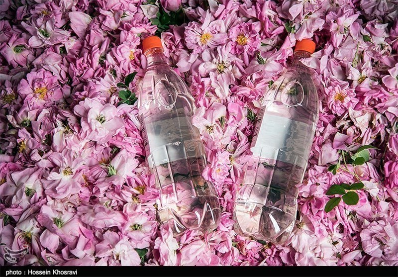 80 لیتر گلاب در دهه مهدویت به بارگاه منور رضوی اهدا می‌شود‌
