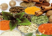 صادرات 33 گونه گیاه دارویی ممنوع شد