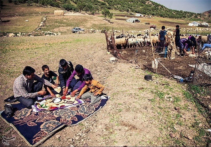 50 درصد اعتبارات مصوب عشایر استان بوشهر تخصیص یافت