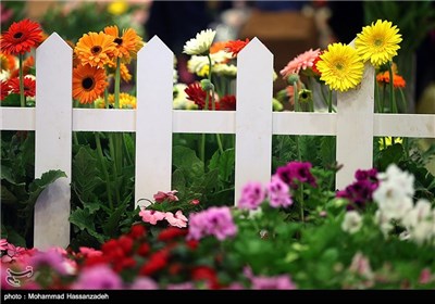 سیزدهمین نمایشگاه بین‌المللی گل و گیاه تهران