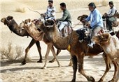 71 جشنواره ورزش روستایی در استان سیستان و بلوچستان برگزار می‌شود