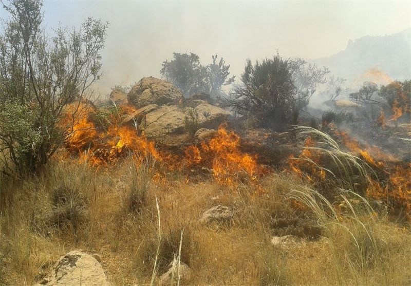 جنگل‌های پلدختر همچنان در آتش می‌سوزند