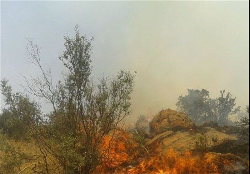 شعله‌های آتش نفس گونه‌های جانوری منطقه بختگان را به شمارش انداخت +‌ تصاویر