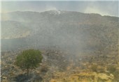 آتش سوزی جنگل‌های جنوب لرستان بعد از 4 روز مهار شد