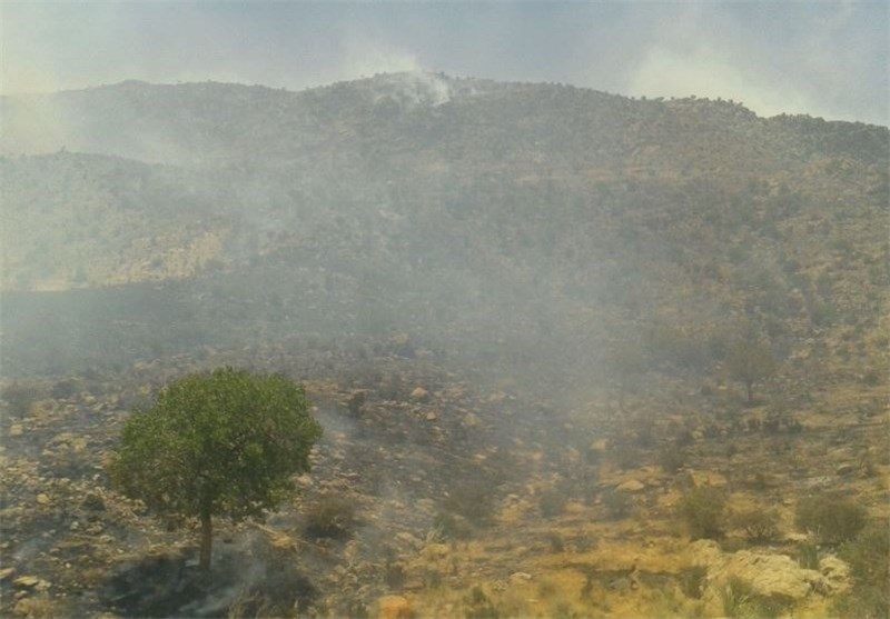 «خطای انسانی» عامل 95 درصد آتش‌سوزی‌ها در جنگل‌های لرستان