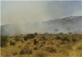 تکرار تراژدی آتش در جنگل‌های لرستان در نبود حداقل امکانات