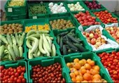 70 نوع محصول کشاورزی در استان گیلان تولید می‌شود