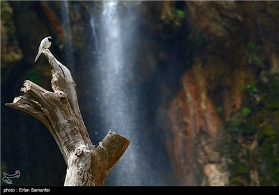 آبشار مارگون - شیراز