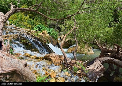 آبشار مارگون - شیراز