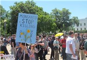 World Stands Up against Monsanto: Over 400 Cities Protest GMOs