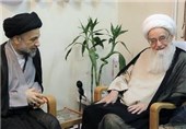 آیت الله صافی گلپایگانی: برای رفع مشکلات عراق دعا می‌کنم