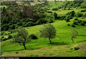 طبیعت بهاری گیلان