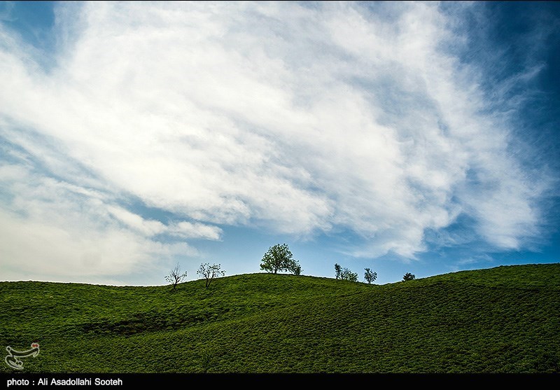 طبیعت بهاری گیلان