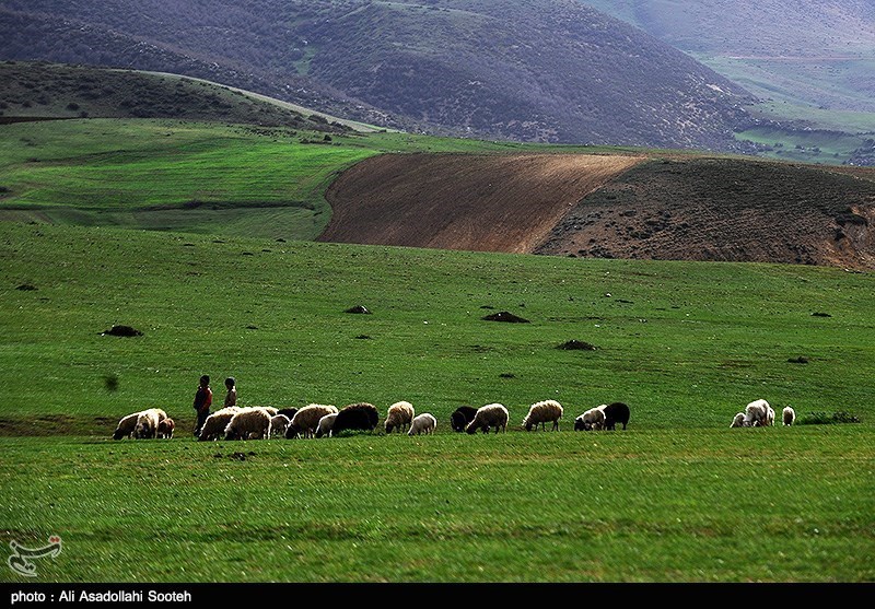 طبیعت بهاری گیلان