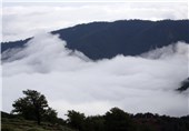 جنگل ابر جایی که آسمان به زمین می‌آید/لذت شیرین قدم زدن روی ابرها+تصاویر