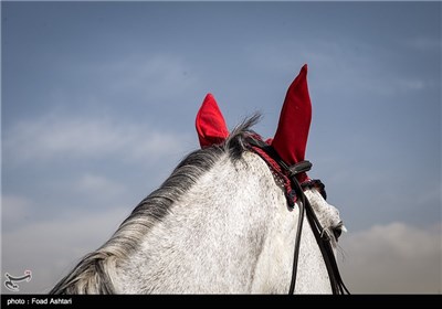 Concours de Saut International Held in Tehran