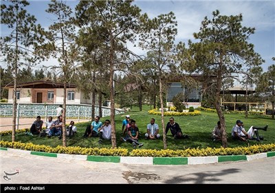 Concours de Saut International Held in Tehran