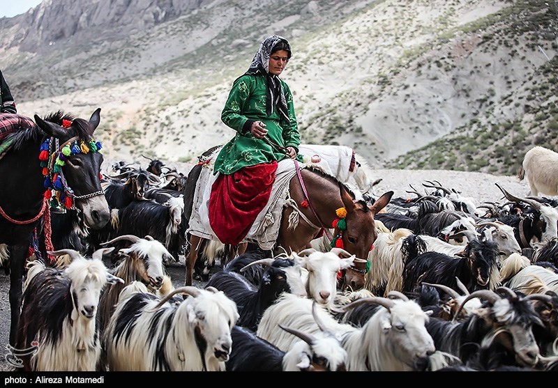 کوچ عشایر چهارمحال و بختیاری