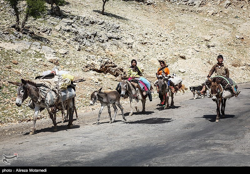 کوچ عشایر چهارمحال و بختیاری