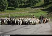 ششمین جشنواره ملی کوچ عشایر به میزبانی بیله‌سوار برگزار می‌شود