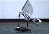 پرواز پرنده روبات به دنبال یک سوسک روبات