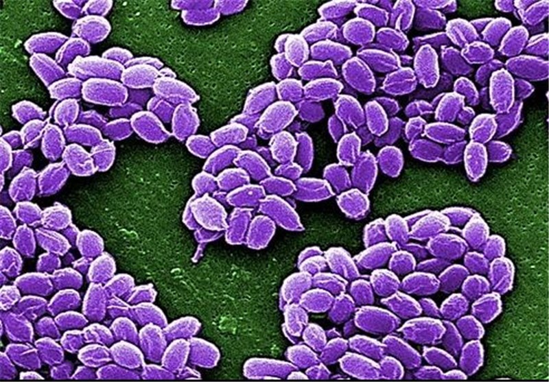 Pentagon Sent Live Anthrax to Japan in 2005