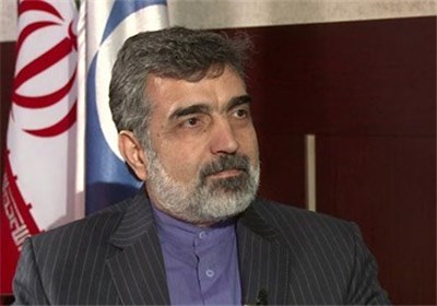İran Atom Enerjisi Teşkilatı Sözcüsü: Nükleer Silah Peşinde Değiliz