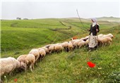 عشایر بیله‌سوار مرزنشینان غیور شمالغرب کشور به روایت تصویر