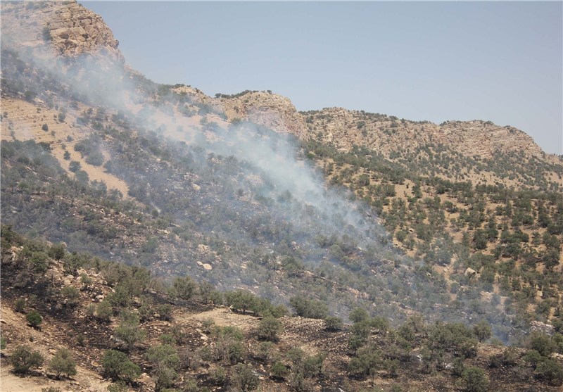 آتش سوزی در جنگل‌های بلوط ایلام و لزوم توجه بیشتر به منابع ملی