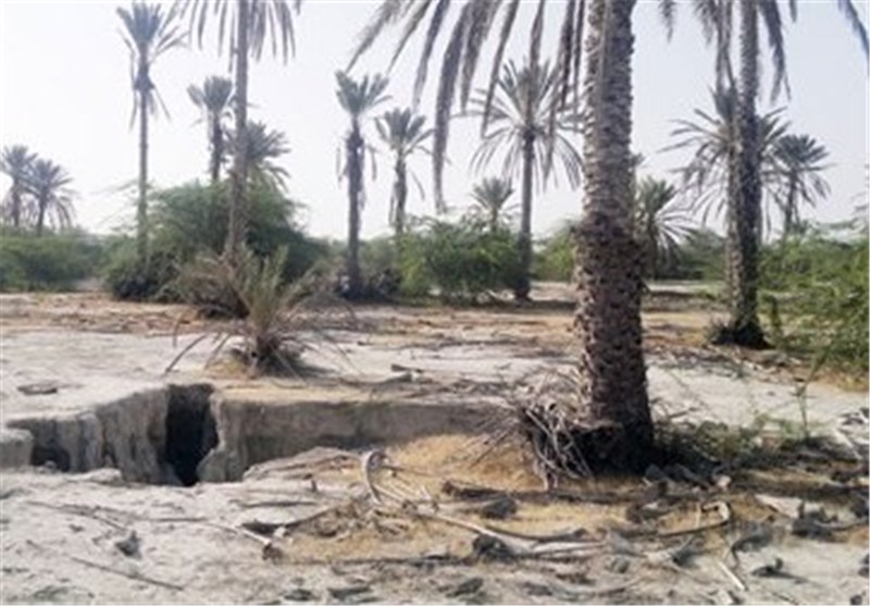 سوء مدیریت منابع آب مهمترین عامل نابودی جلگه میناب در هرمزگان