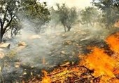 تخریب اراضی عامل اصلی آتش سوزی‌ در جنگل‌های لرستان است‌