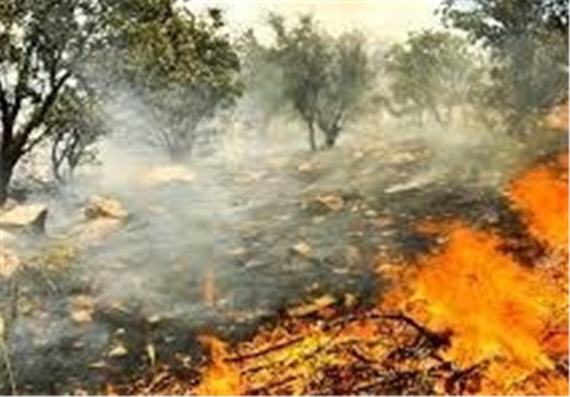آتش سوزی 600 میلیون ریال به مزارع گیلان‌غرب خسارت وارد کرد