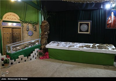 Iran Displays Body of Martyr Diver