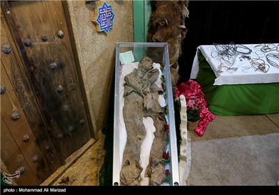 Iran Displays Body of Martyr Diver