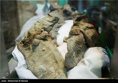 Iran Displays Body of Martyr Diver